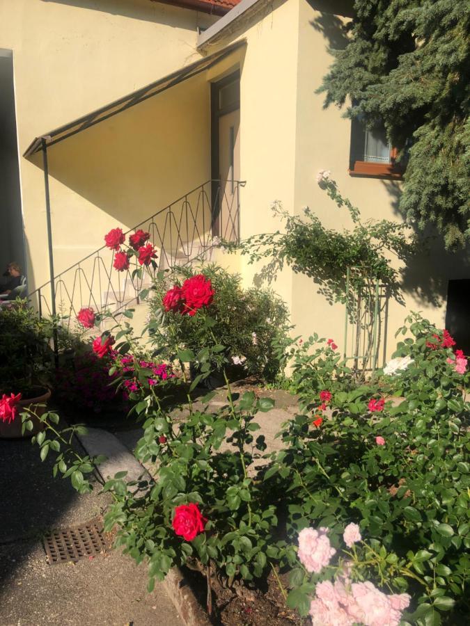 Das Kleine Haus Breitenbrunn (Burgenland) Exterior foto