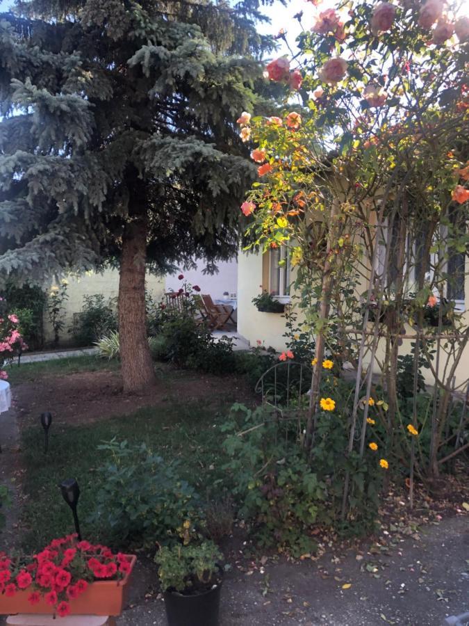 Das Kleine Haus Breitenbrunn (Burgenland) Exterior foto
